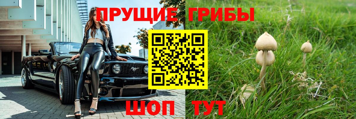 Псилоцибиновые грибы GOLDEN TEACHER Кыштым